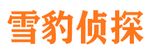 平鲁私家侦探